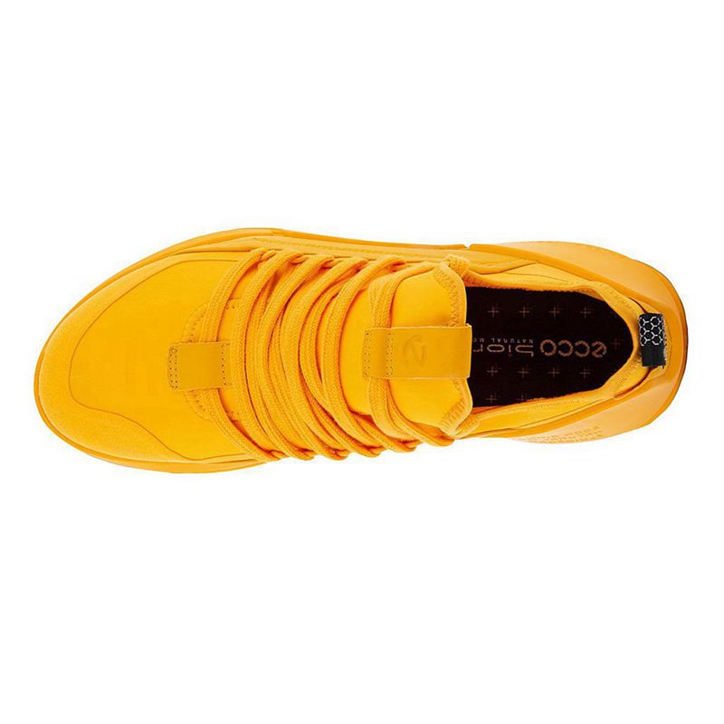 ecco collin yellow