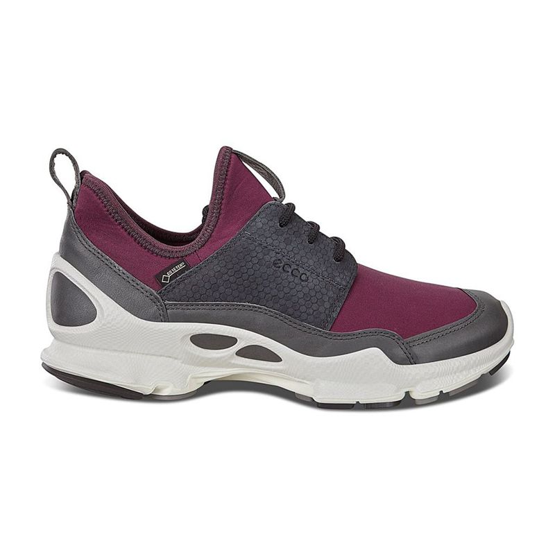 ecco collin purple